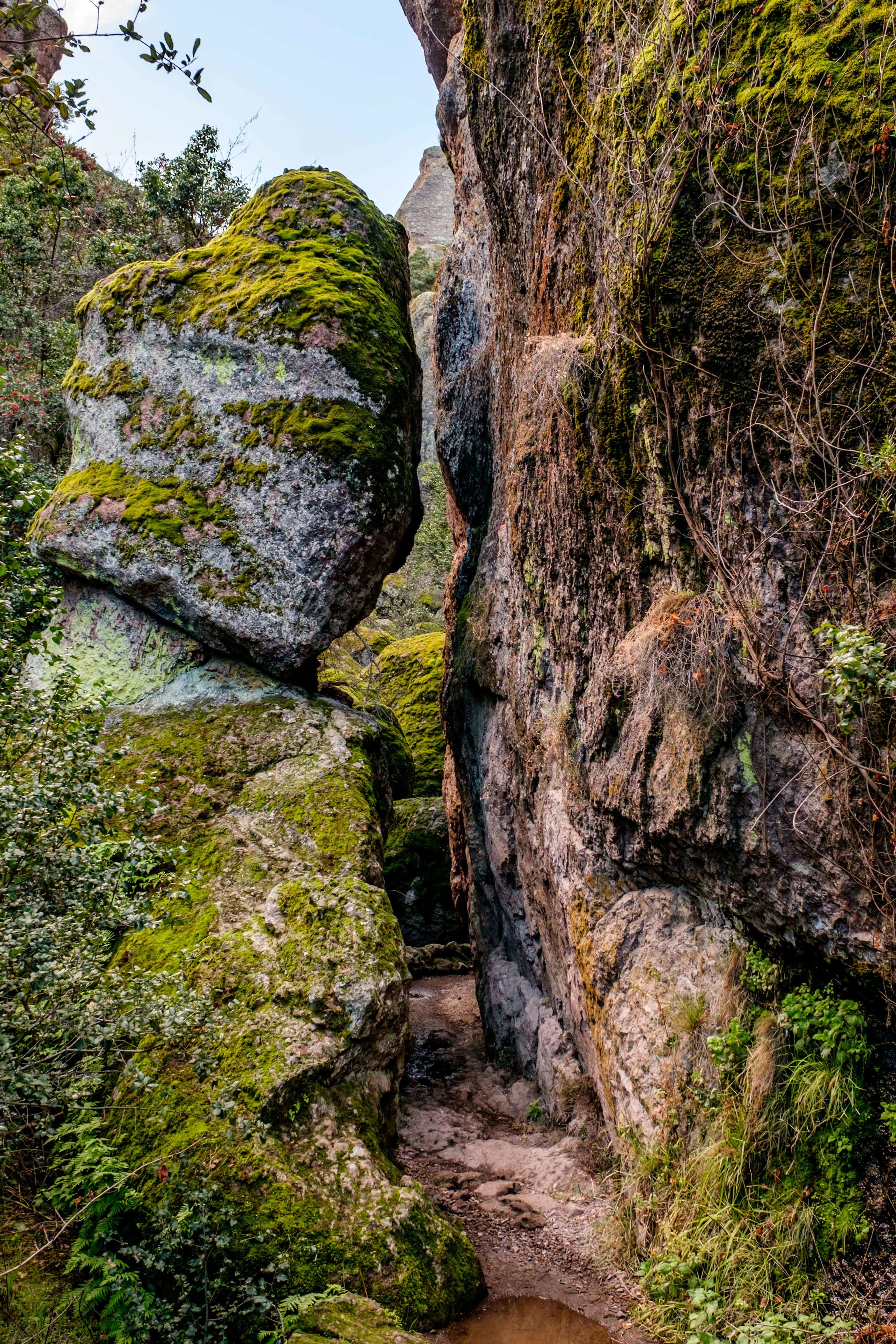 Pinnacles National Park — The Greatest American Road Trip